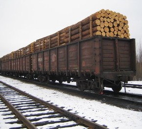 Arkhbum CEO: Growth of railroad tariffs will switch loggers to truck transportation