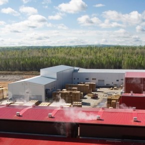 Russian Timber Group to reach maximum capacity at its mills