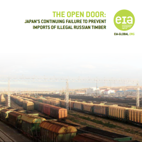 EIA accused Japanese companies of importing products made of illegal Russian timber