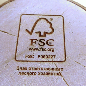 Advantages of FSC certification for the Russian timber industry