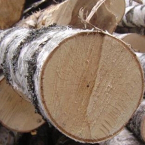The Ministry of industry and trade has distributed quotas for the export of birch plywood timber for 2019