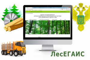 The state automated information system of wood accounting forest ...
