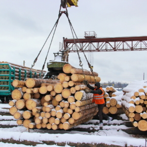 Iranian businessmen are interested in buying Tyumen forest