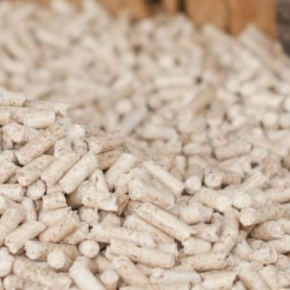 The WhatWood study: idle raw material resources allow Russia to produce 9-10 million tons of wood pellets annually