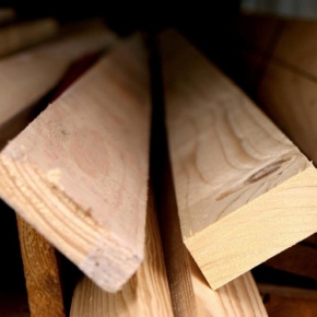 In the Vologda region timber producers exported products worth more than 56 billion rubles