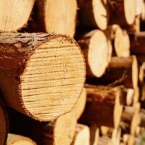 China reduces VAT on sawn timber and round timber from 1 April 2019