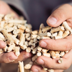 RFP Group plans to build a second pellet plant with a capacity of about 70 thousand tons per year