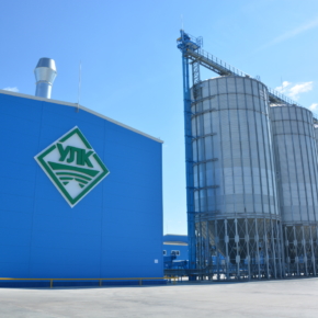 From 2023, the Group of companies "ULK" will harvest 6 million cubic meters of wood