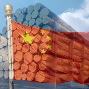 China: booming roundwood supplies from the Czech Republic and Germany in 2019