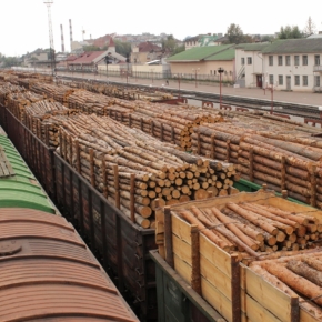 Why Russia can not refuse to export round timber