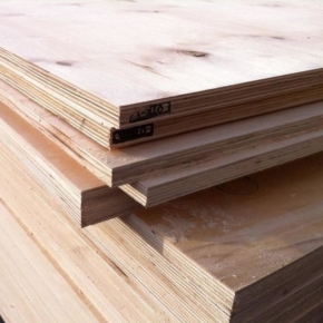 Tomsklesprom Xudong LLC (China) will launch a plywood plant based on the Asinovsky LPK by the end of 2020