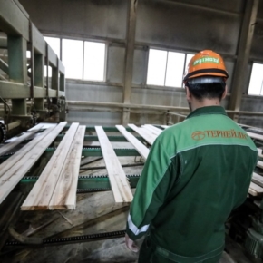 Terneyles is to increase sawn timber production by 127.000 m3 in 2021