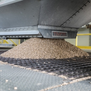 Report predicts EU to have a pellet demand for 30.8 million metric tons in 2020