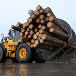 Novy Sever LPK LLC to invest 366 million rubles in the construction of a timber enterprise in the Perm region