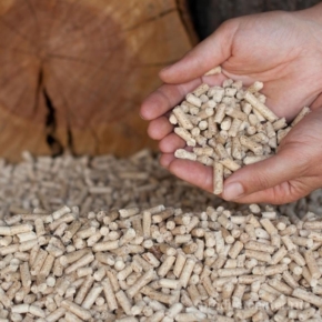 The Government hopes to reduce wood waste by exporting wood pellets