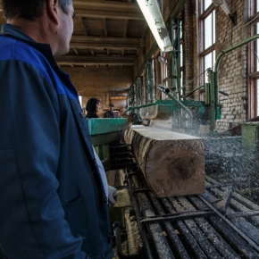 Russia is launching subsidized lending for wood processing