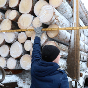 Launching an electronic timber accounting system in the Far East will take 2 – 3 months