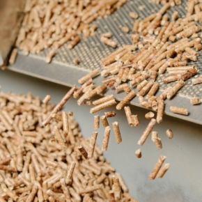 Wood pellets production was launched in the Kemerovo Region
