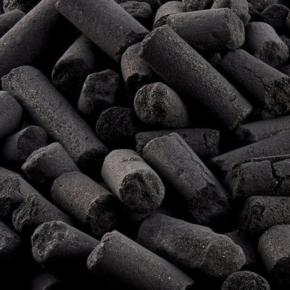 Plans to start bio coal production in the Leningrad Region