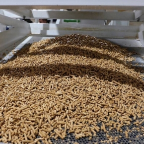 Wood pellet production to be started in the Irkutsk region with the support of the IDF