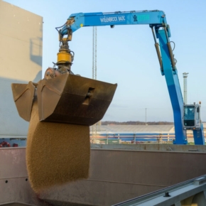 Sea Port of Saint Petersburg JSC increased wood pellets transshipment in 2020