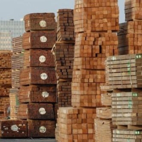 EU27 tropical sawnwood imports fall 16%