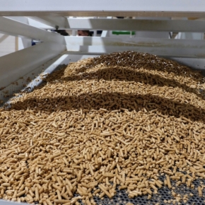IDF approved a loan to Rustrans DV to increase the output of wood pellets