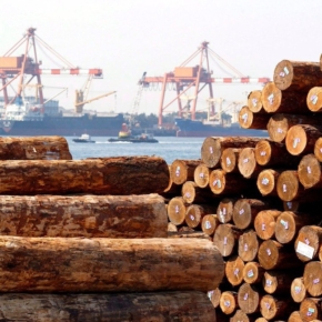 A state company for roundwood export will be established in Russia by the end of 2021