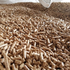 US wood pellet exports top 667,000 metric tons in March 2021