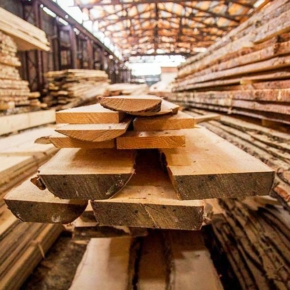 Russian Government introduces duties on the export of timber with a moisture content of over 22%