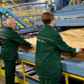 Segezha Group increases plywood production capacity