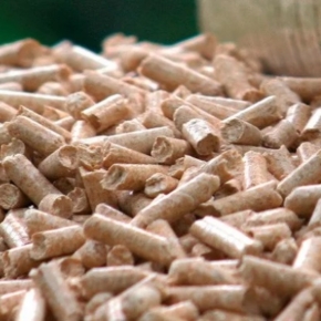 Swiss pellet prices decrease minimally stronger in July 2021