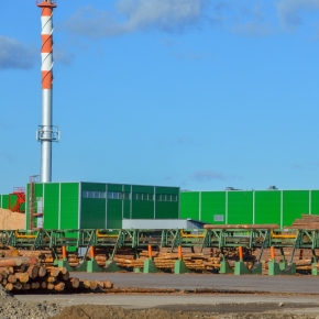 ULK Group upgraded its green sawn timber sorting line at Pestovsky LPK