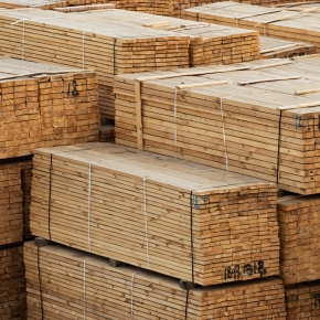 After multi-week rises, most softwood lumber prices US declined slightly in early November