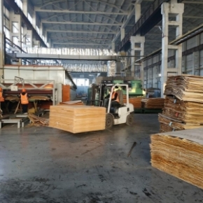 Vologodsky Les is planning to invest 3.5 billion rubles in expanding its woodworking facilities