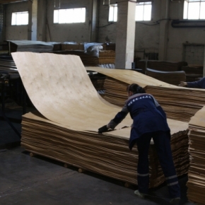 Association of Furniture and Woodworking Enterprises of Russia suggests banning veneer logs export and imposing duties on birch veneer