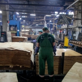 Over 11 months of 2021, Russia equaled its record plywood output of 2019 – 4.1 million m³