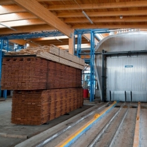 Sverdlovsk region is going to launch production of thermally modified wood that cost 18 million rubles