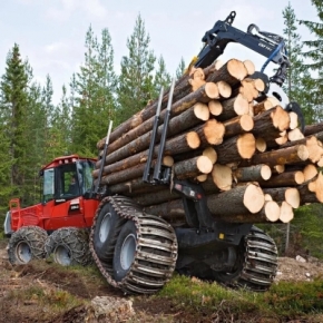 Government of the Russian Federation articulated support measures for the timber industry