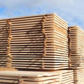 The Ministry of Industry and Trade suggests cancelling export duties on sawn timber with over 22% moisture content until the end of 2022