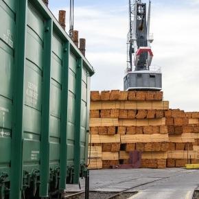 Middle East, Asia can be promising for Russian timber export — the Ministry of Industry and Trade
