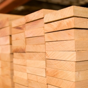 US lumber prices decline in early August