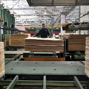 In January-August 2022, Russian plywood production decreased by 23.9%
