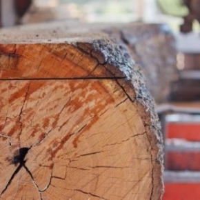 Canada's sawn timber production down 8.7% in June
