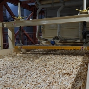 Siberia's first OSB production venue opened in the Tomsk Region