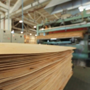 Russian plywood production increases for the first time in a long time