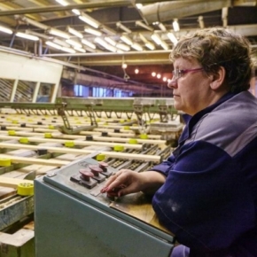 Segezha Group liquidated its sawmill in Karelia