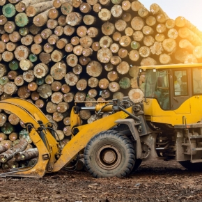 Top 100 Russian timber industry companies in 2021