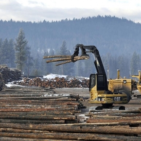 Roslesinforg: timber harvesting in Russia decreased by 12.7% in 10 months of 2022