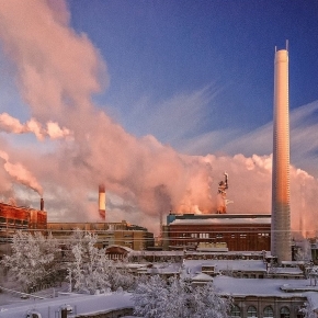 Svetlogorsk Pulp and Paper Mill intends to stop using a considerable share of its leased forest fund